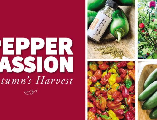 Pepper Passion
