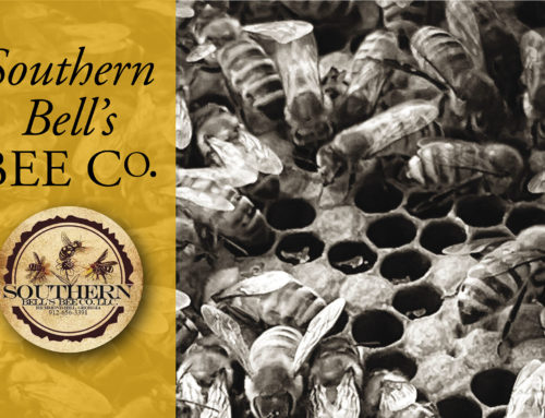 Southern Bell’s Bee Company