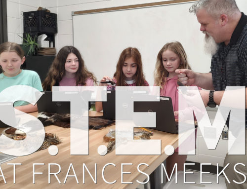 STEM at Frances Meeks