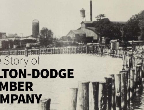 The Story of  Hilton-Dodge Lumber Company