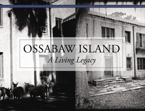 Ossabaw Island