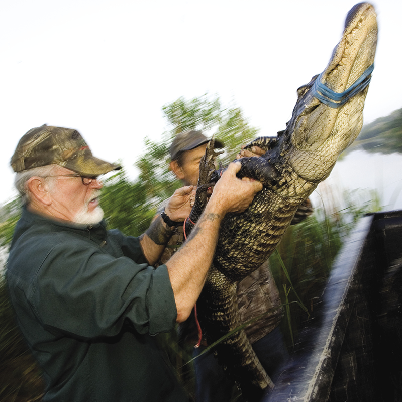 SQ Fable 20 Years story 1