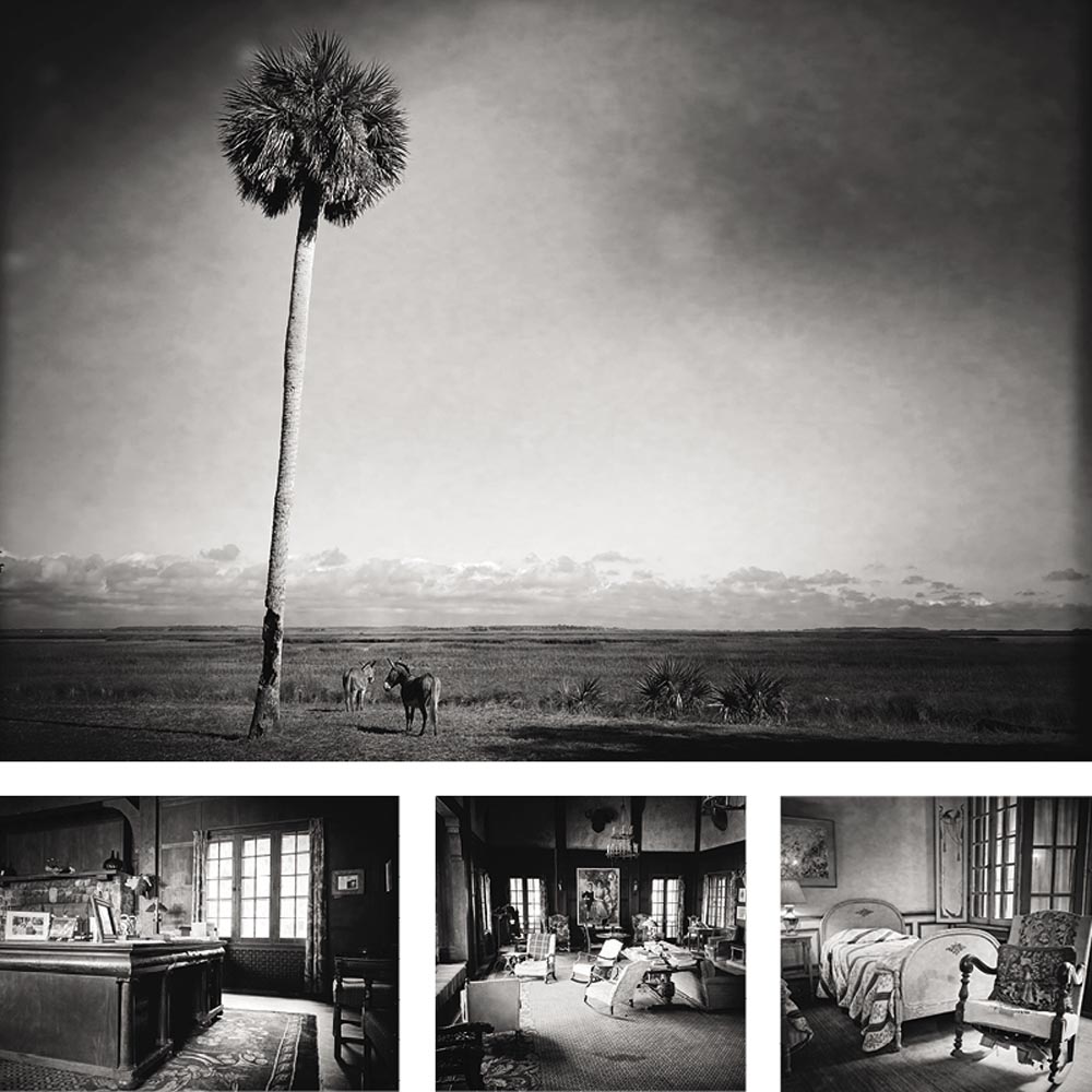 SQ Ossabaw 20 Years story 3