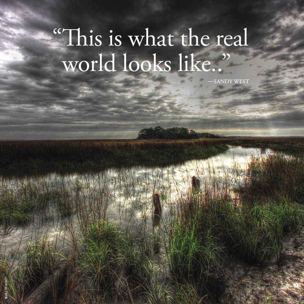 SQ Ossabaw 20 Years story 5